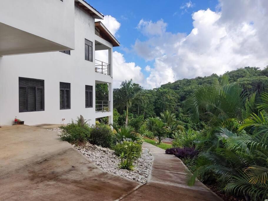 The Willow Apartment Ocho Rios Exterior photo