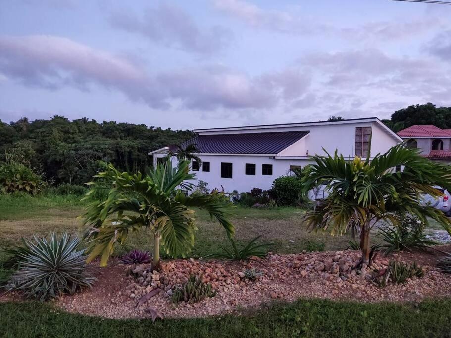 The Willow Apartment Ocho Rios Exterior photo