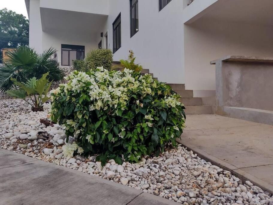 The Willow Apartment Ocho Rios Exterior photo